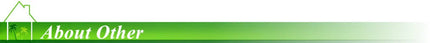 20 Design Silicone Mold For Baking Chocolate Fondant Cake Baking Mold Non-Stick Baking Pan Pastry Doughnut Dessert Making Tools