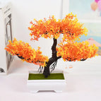 orange yellow / United States